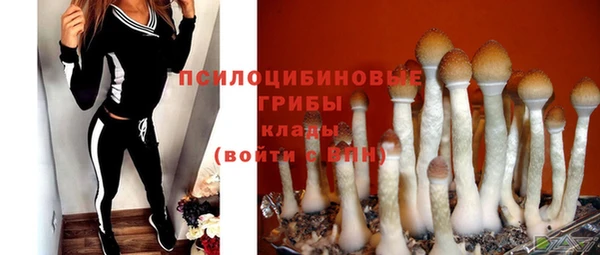 ECSTASY Бронницы