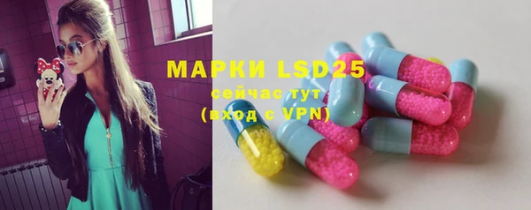мдпв Богородицк