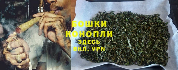 сатива Покровск