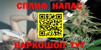 МДПВ Сланцы