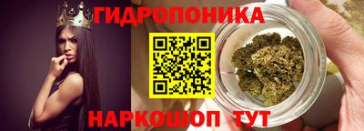 МДПВ Сланцы